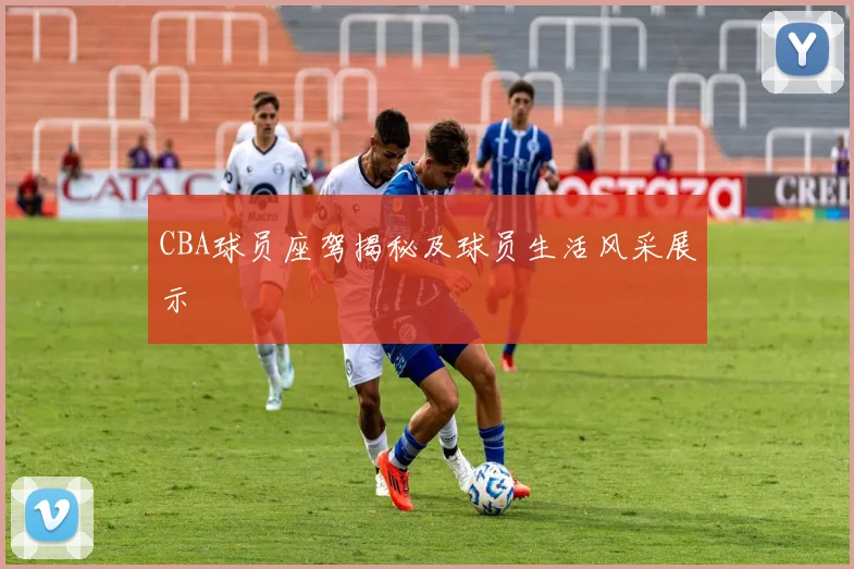 CBA球员座驾揭秘及球员生活风采展示