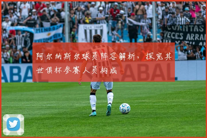 阿尔纳斯尔球员阵容解析，探究其世俱杯参赛人员构成