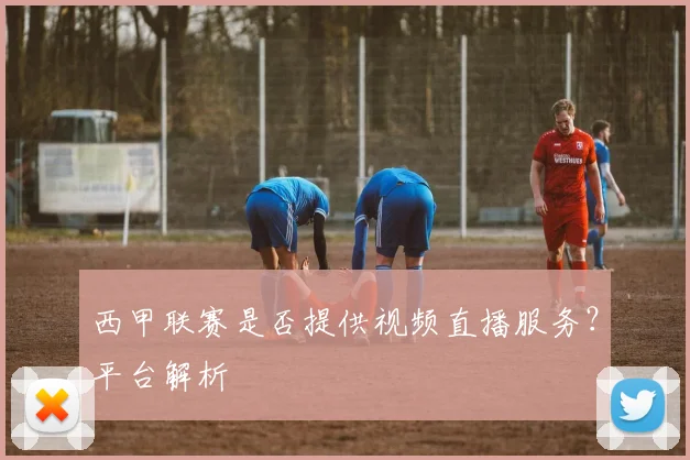 西甲联赛是否提供视频直播服务？平台解析